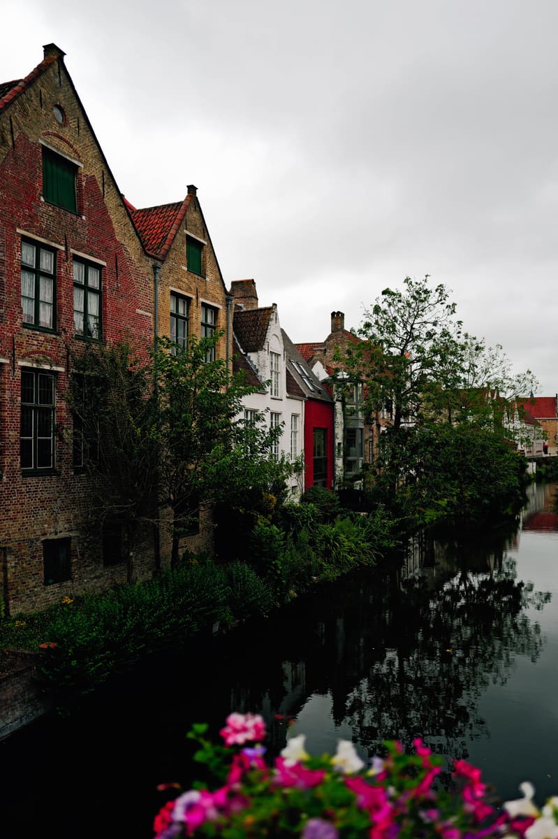River with Flowers — Belgium