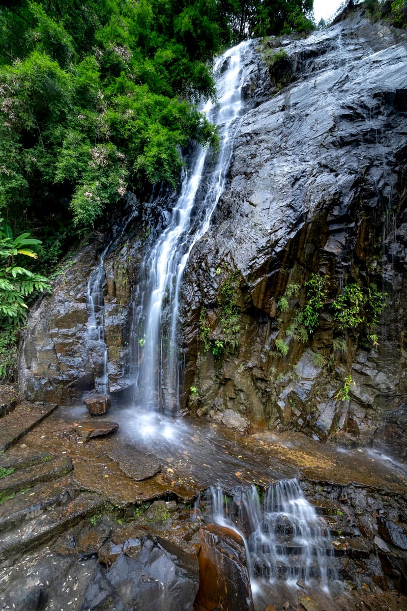 Forest Waterfall — Burundi