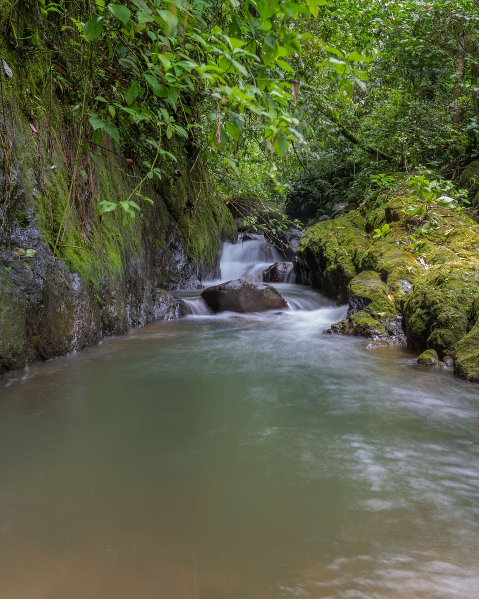 Jungle Waterfall — Costa Rica