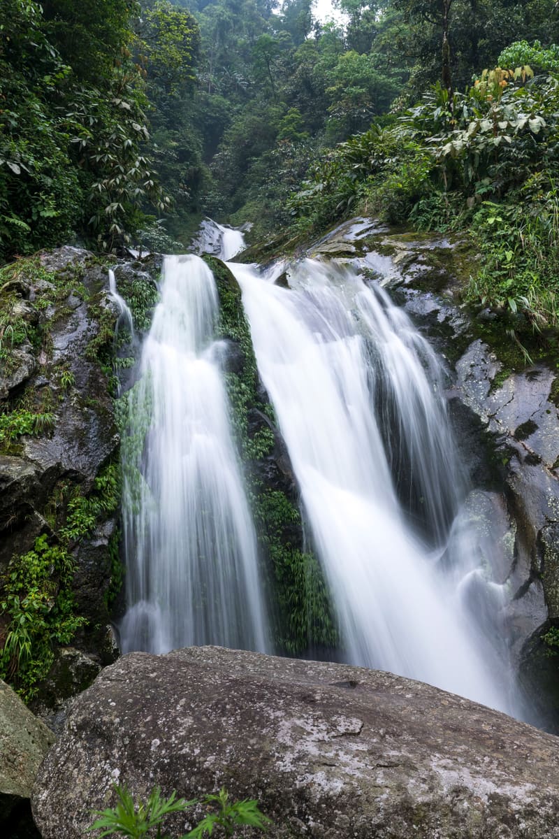 Waterfall and Trees — Dominica