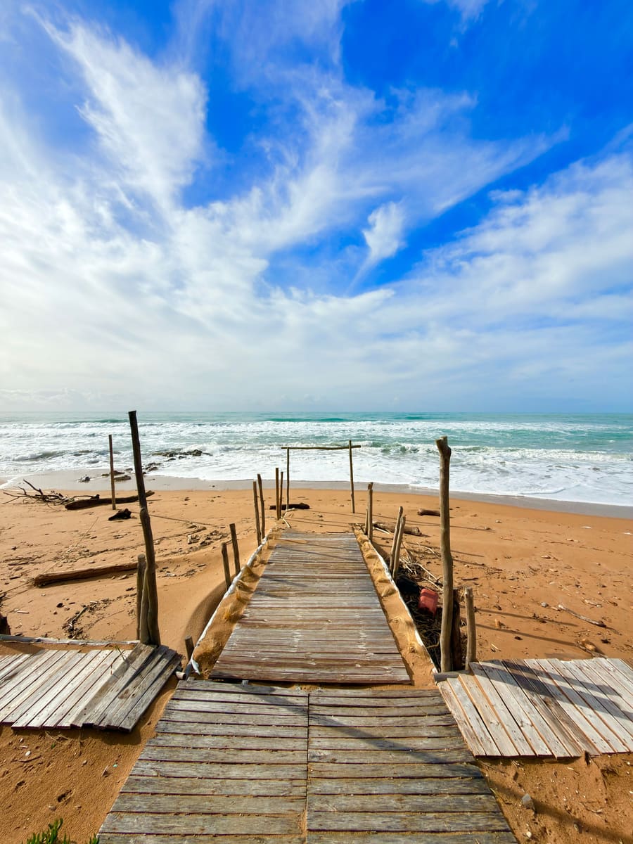Coastal Boardwalk — Gabon