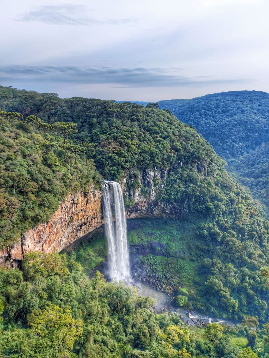 Forest Waterfall — Guyana