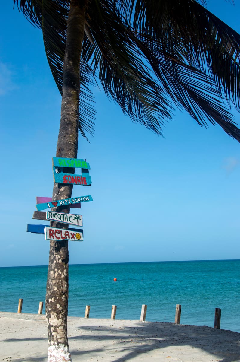 Palm Tree Shore — Jamaica