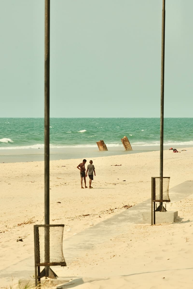 Palm-Lined Coast — Sierra Leone