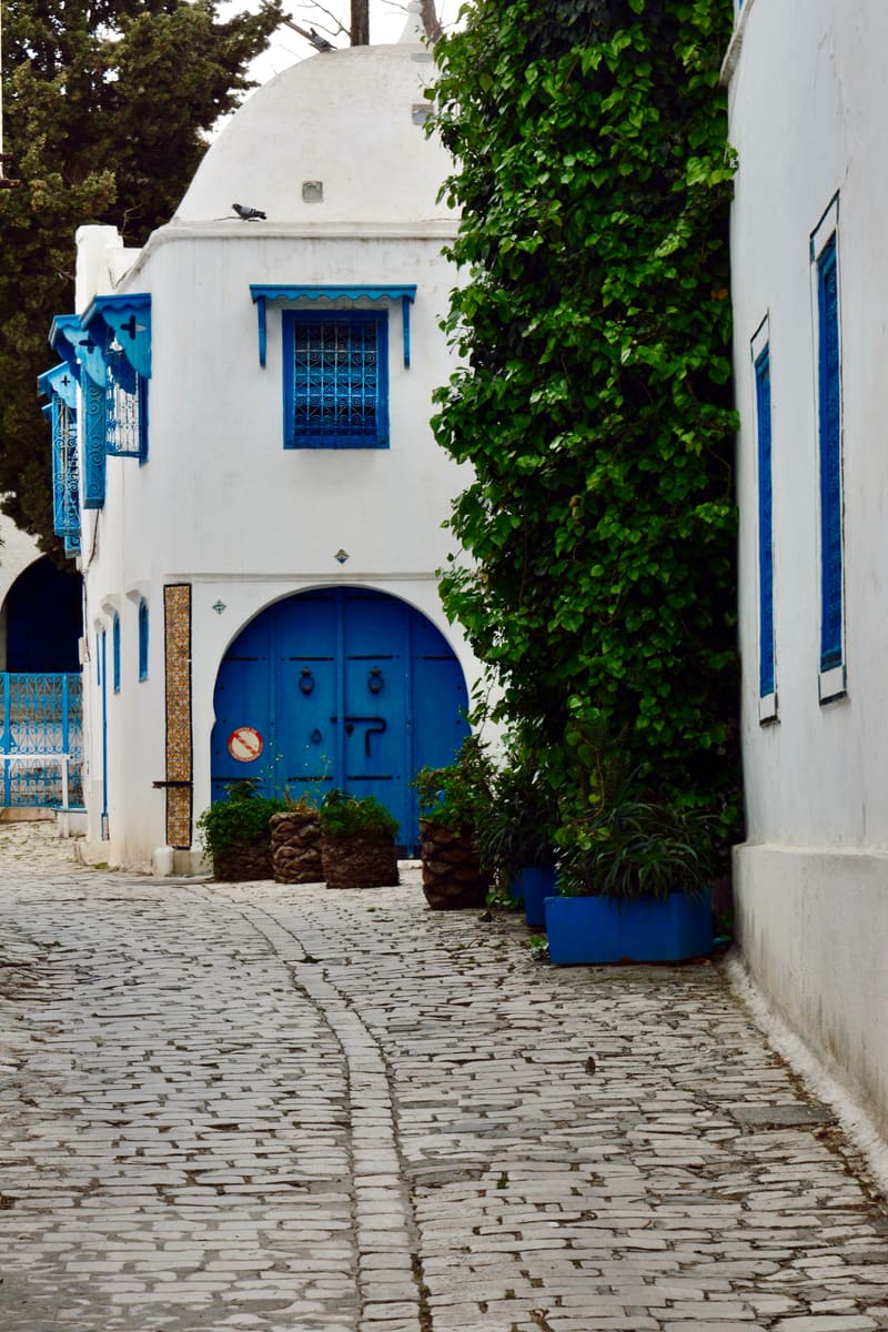 Blue and White Street — Tunisia