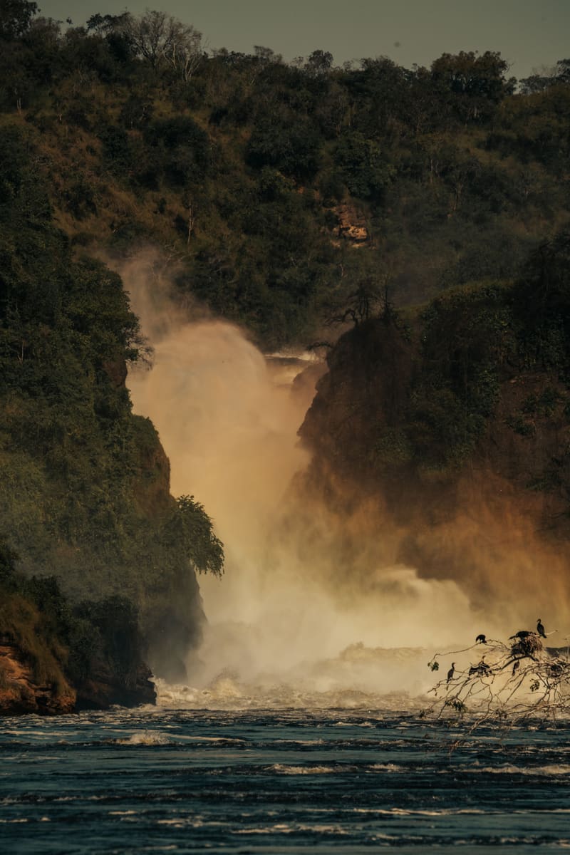 Forest Waterfall — Uganda