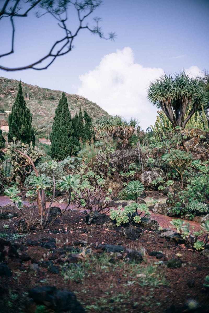 Green Landscape — Yemen