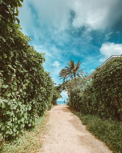 Barbados — travel photo