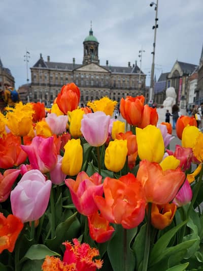 Netherlands — travel photo